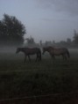 /album/bildgalleri/a10451729-10154280987680512-3410659466197977422-n-jpg/